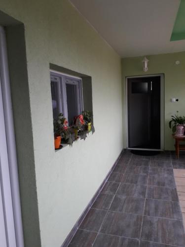 Fotografie z fotogalerie ubytování VILANATALIJA PANSION, APATIN v destinaci Apatin