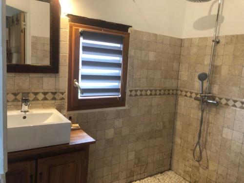 une salle de bain avec un lavabo et une douche dans l'établissement La maison de César Les Eyzies de Tayac, à Sireuil