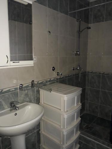 a bathroom with a sink and a toilet and a shower at VILANATALIJA PANSION, APATIN in Apatin