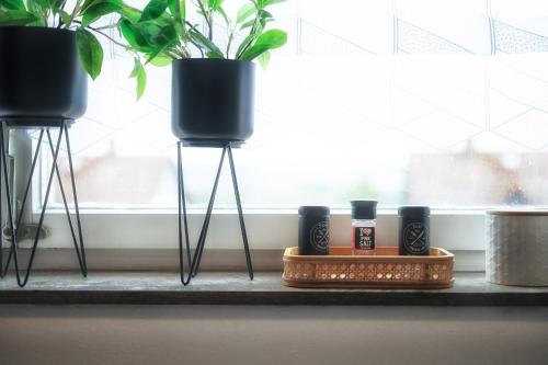 a shelf with three black cups and plants in a window at Select-Home 3 - Netflix - Parkplatz - Business Home in Nabburg