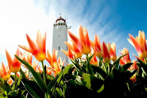 a lighthouse with a bunch of flowers in front of it at Two Brothers Noordwijk Beach in Noordwijk aan Zee