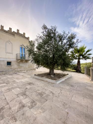 a tree in a courtyard in front of a building at Borgo Vita Novella Resort in Marzamemi