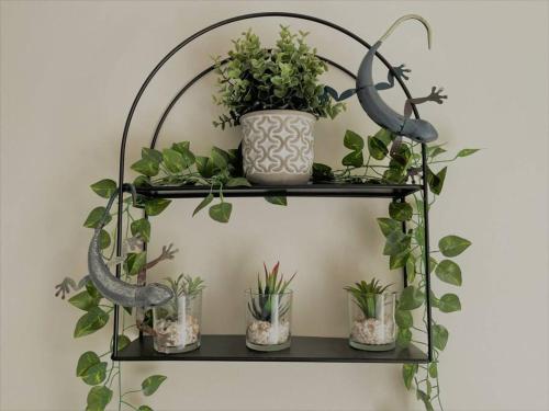 a metal shelf with plants on it at Esperance Little Units 2 in Esperance