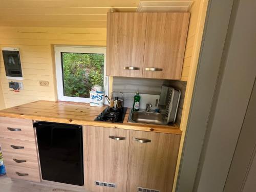 a small kitchen with a sink and a microwave at Tiny house Horní Planá in Horní Planá