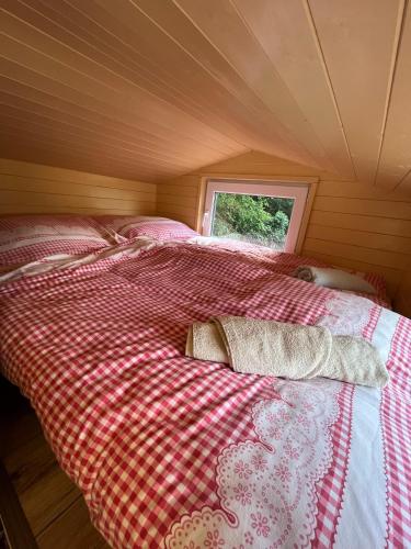 a bed in a small room with a window at Tiny house Horní Planá in Horní Planá