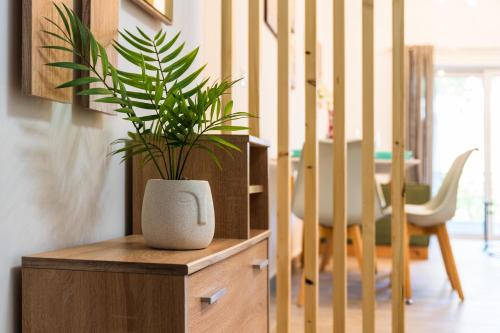 Nice n Cosy Apartment I