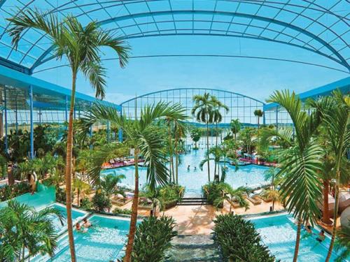 an overhead view of a resort pool with palm trees at Stilvolles Apartment nahe Therme und PreZero Arena in Sinsheim