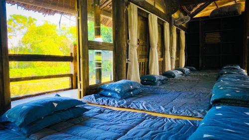 a row of blue beds in a room with a window at Wonder Farm Ba Vi - Heritage Retreat in Hà Lộc