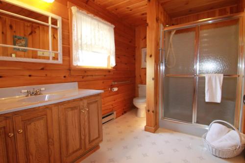 y baño con ducha y lavamanos. en Spacious 8bd7ba Log Home on Beltzville Lake in Southern Poconos - No Prom en Lehighton