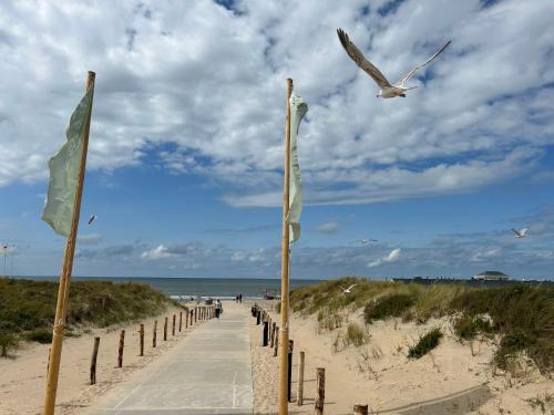 een pad naar het strand met vlaggen en een vogel bij Holiday Home de Witte Raaf by Interhome in Noordwijk