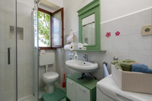 een badkamer met een wastafel, een toilet en een douche bij Apartment Da Lia in Momjan