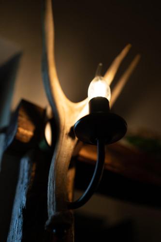 a close up of a pair of scissors with a light on it at Bârlogul Vikingilor in Şotrile