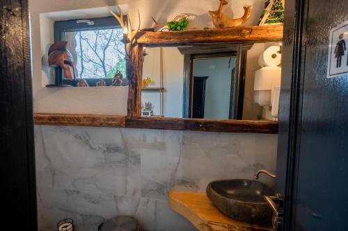 a bathroom with a sink and a mirror at Bârlogul Vikingilor in Şotrile