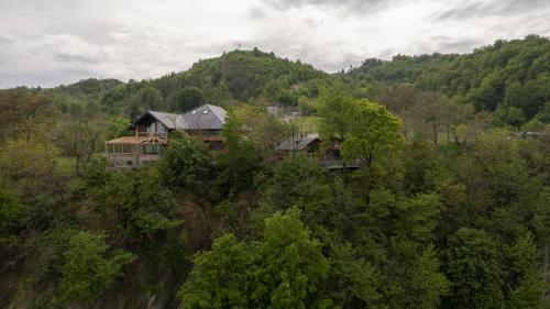 a house on the side of a hill with trees at Bârlogul Vikingilor in Şotrile