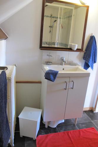 une salle de bain avec un lavabo et un miroir dans l'établissement Studio JOUBARBE, à Bagnères-de-Bigorre