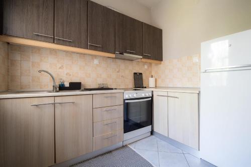 a kitchen with wooden cabinets and a white refrigerator at Casa con pozo Platamonas in Platamonas