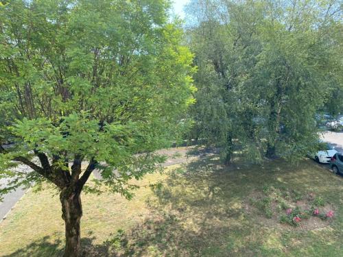 una vista aérea de un parque con árboles y flores en Appartement lumineux Vue montagne Centre Grenoble, en Grenoble