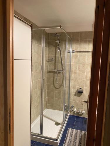 een douche met een glazen deur in de badkamer bij Monolocale Alberti Rainalter in Madonna di Campiglio