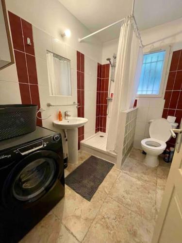 La salle de bains est pourvue de toilettes et d'un lave-linge. dans l'établissement Casarella Bulle de Paix en Corse Entre Terre et Mer, à Lucciana