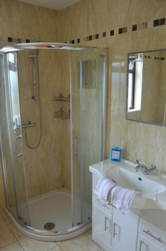 a bathroom with a shower and a sink at Carrick Cove Deluxe Room with private decking in Annalong