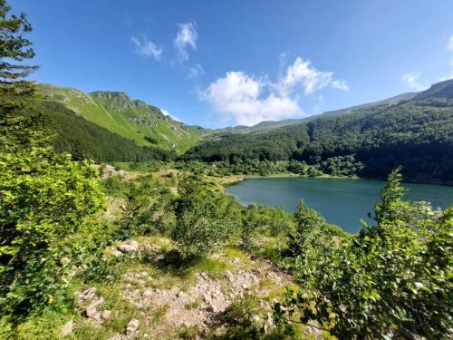 vista para um lago nas montanhas em Lago Ballano 