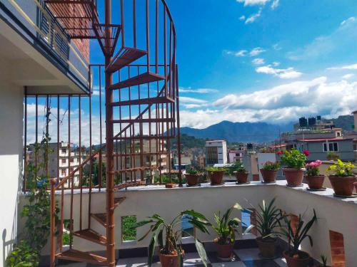 a balcony with potted plants and a stair case at Peace Homestay in Kathmandu