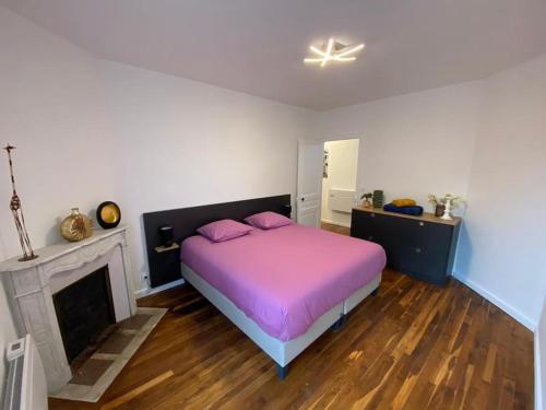 sypialnia z łóżkiem i kominkiem w obiekcie Appartement T4 centre-ville w mieście Soissons