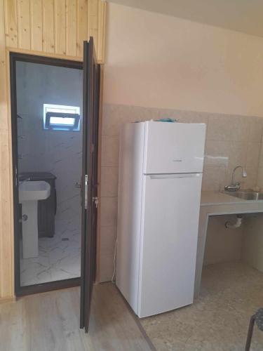 uma cozinha com um frigorífico branco e um lavatório em Mariam's Cottage em Kobuleti