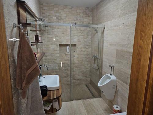 a bathroom with a shower and a sink and a toilet at Vinársky dom u kríža in Vrádište