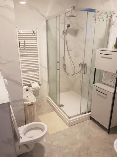 a bathroom with a shower and a toilet at Lake house in Zagreb