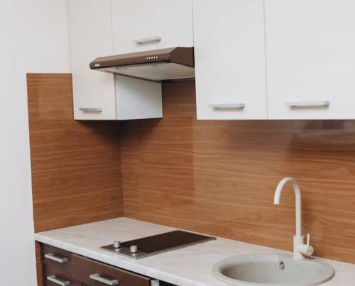 uma cozinha com um lavatório e um capô em PANORAMA HOTEL em Tyachiv