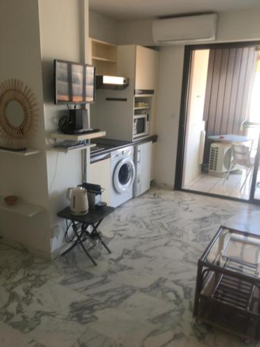 - un salon avec un lave-linge dans l'établissement jardins croisette PRES CROISETTE, à Cannes