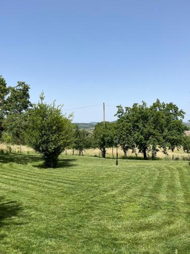 a field of green grass with trees in the background at L’ Aia del Principe in Montepulciano