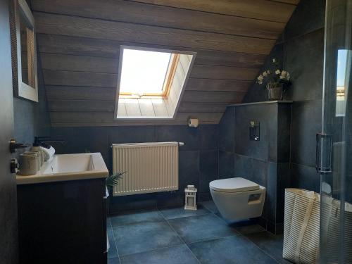 uma casa de banho com um WC, um lavatório e uma janela em CHALET FERDINAND em Hejnice