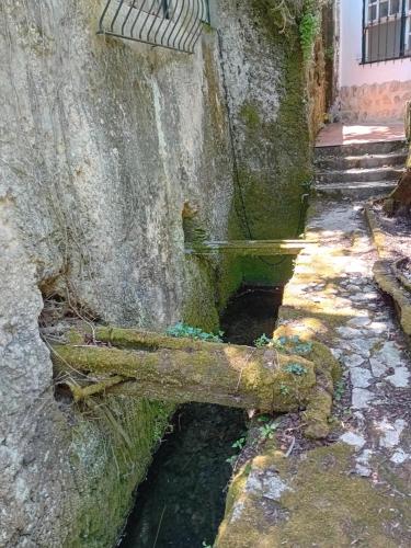 Φωτογραφία από το άλμπουμ του Retiro d'Azenha σε Almoster