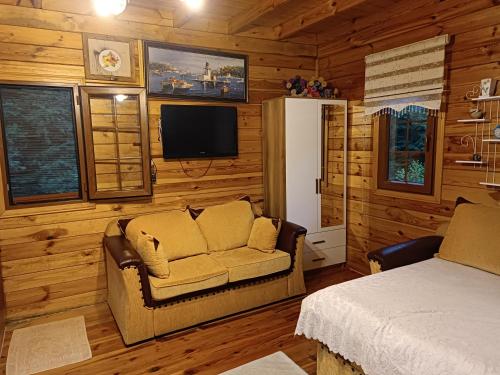 a bedroom with a couch and a television in a cabin at Saklı serender in Dernekpazarı