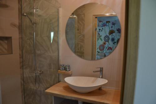 a bathroom with a sink and a shower with a mirror at Le gîte du petit branché in Mazan