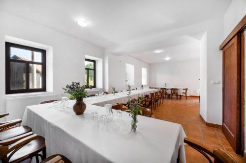a large white room with a long table and chairs at Statek Biobýt in Chotěnov