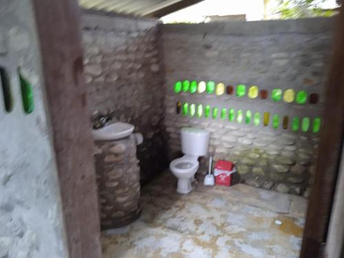 a bathroom with a toilet and a wall with green bottles at Casa Colibri in Nuquí
