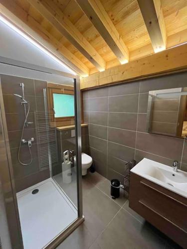 une salle de bain avec une douche, un lavabo et des toilettes dans l'établissement Chalet Balata - Charming chalet with hot tub and views, à La Côte dʼArbroz