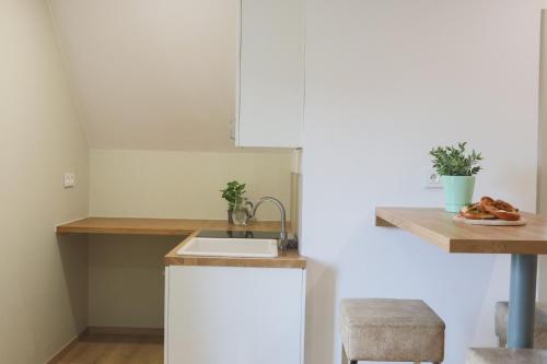 a kitchen with a sink and a counter at Le Cocon, Paisible & Doux in Wahlbach