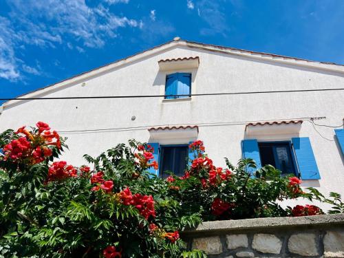 ein weißes Gebäude mit blauen Fenstern und roten Blumen in der Unterkunft House Mateja Unije in Unije