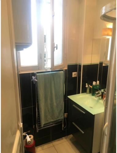 une salle de bain avec un lavabo et une serviette verte dans l'établissement Charmant appartement à Montmartre, à Paris