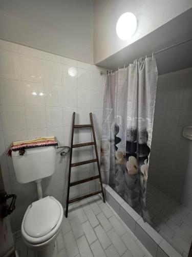a bathroom with a shower with a toilet and a ladder at Elaia House-Eλαία in Spetses