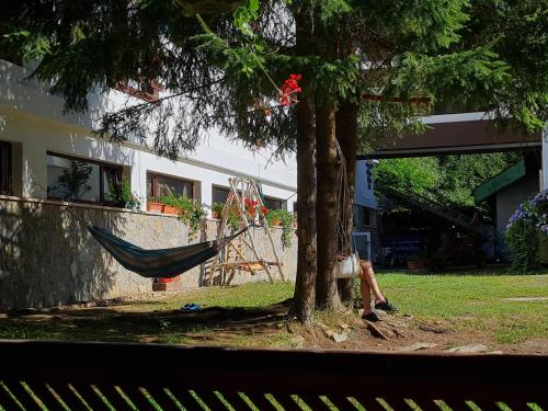 a hammock hanging from a tree next to a building at Randunica in Văliug