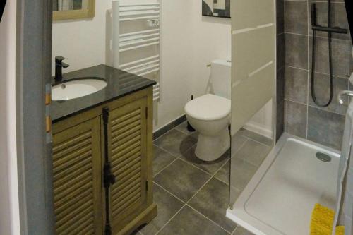 un bagno con wc, lavandino e doccia di La Thorésienne a Thorée-les-Pins