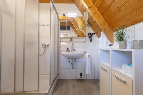 a bathroom with a sink and a shower at HA 9 - Strandvogt 3 Komfort in Schottwarden