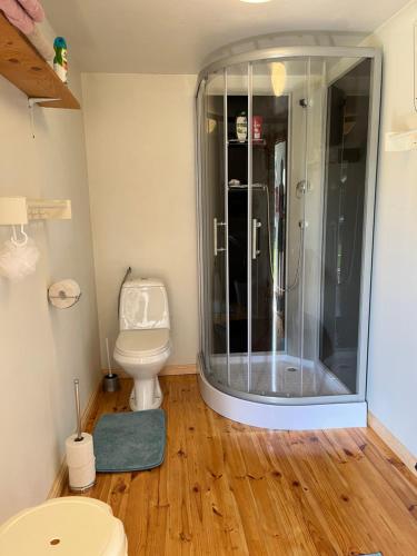 a bathroom with a shower and a toilet at Posti 8 aiamaja in Haapsalu