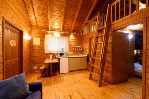 eine Holzhütte mit einer Leiter in einem Zimmer in der Unterkunft Belfer's Dead Sea Cabins in Neʼot HaKikar
