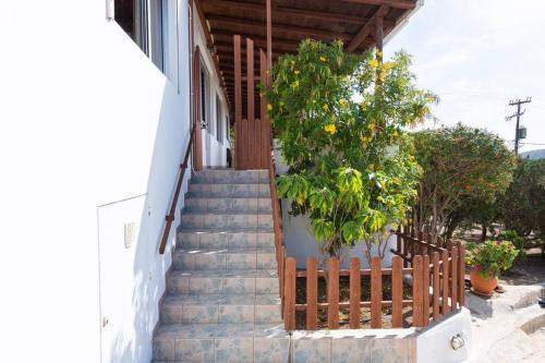 a set of stairs leading to a house with a tree at The Eagle's Nest house - overlooking Antiparos in Kamári